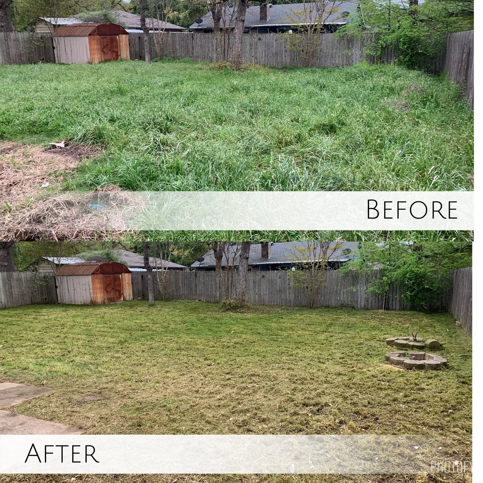 Before and after overgrown backyard cleanup